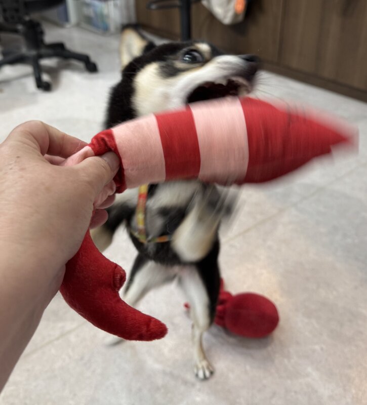 IMG_7743.jpeg