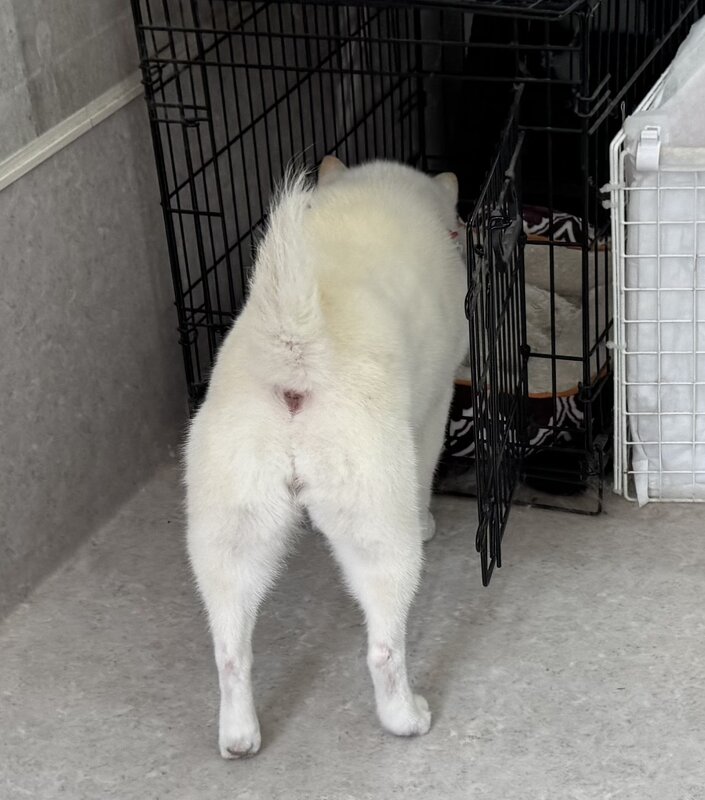 IMG_7762.jpeg