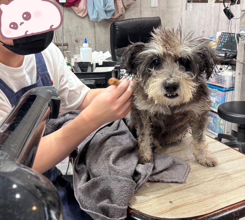 IMG_8118.jpeg