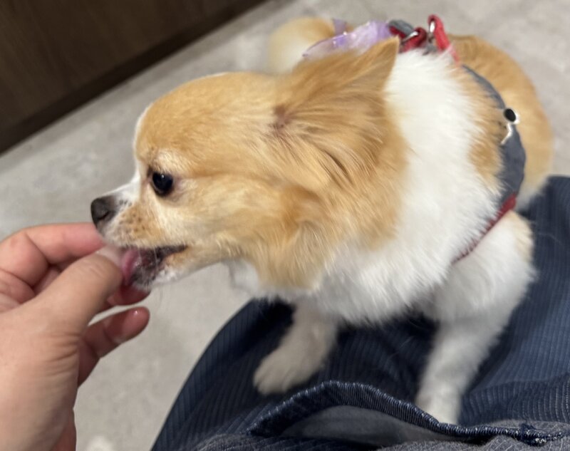 IMG_8440.jpeg