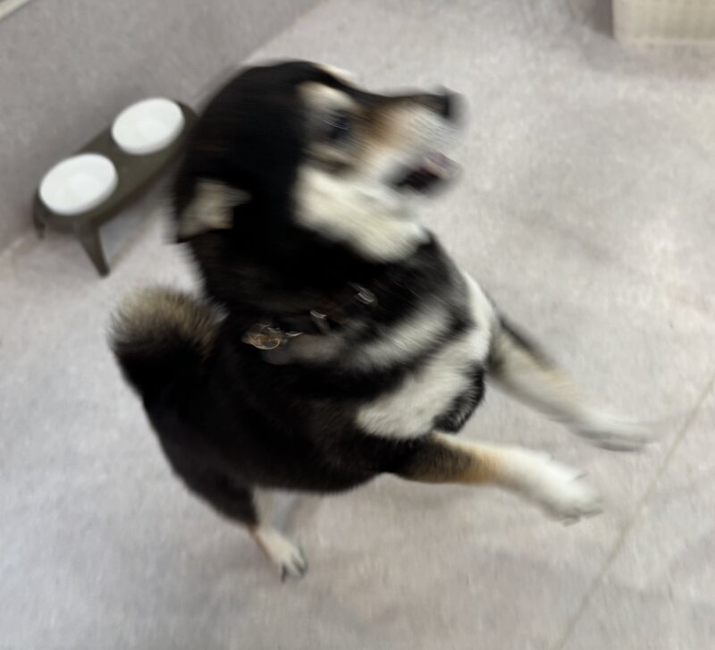 IMG_9061.jpeg