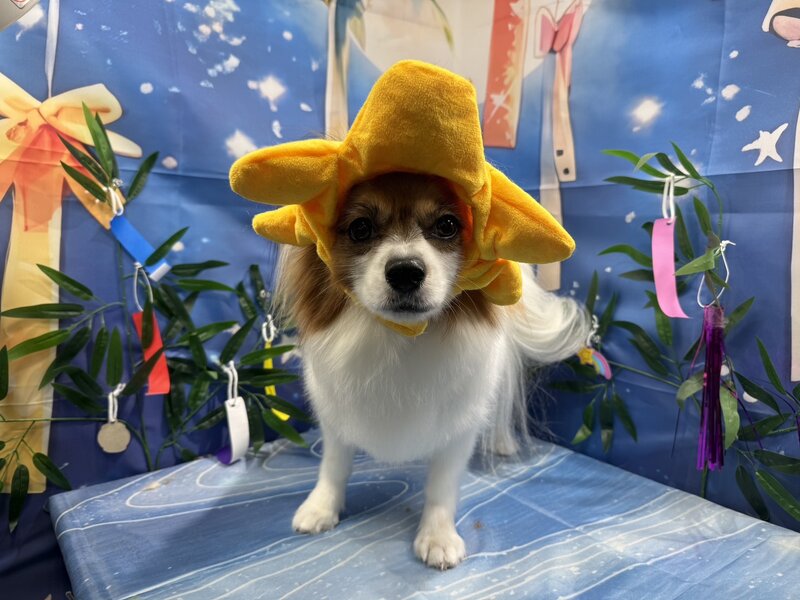 IMG_9458.jpeg