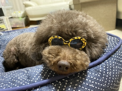 ブログ