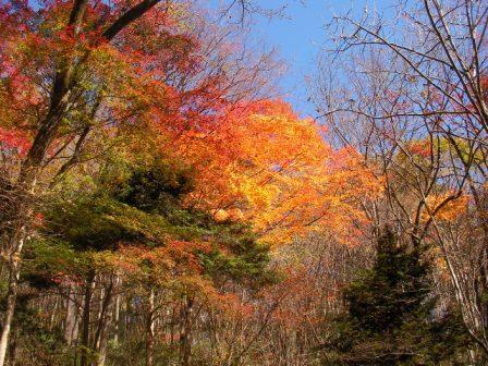 2009年11月16日 御岳山