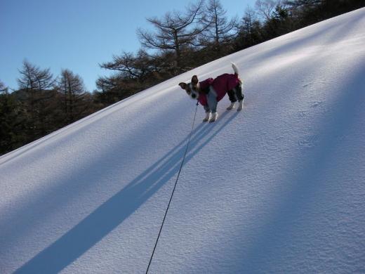2010年12月25日 篭ノ登山
