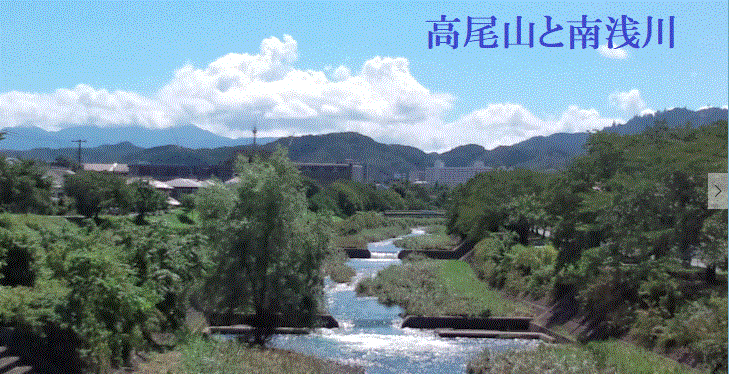 3盛夏.GIF