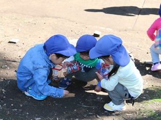 今日はどんぐり拾い日和です