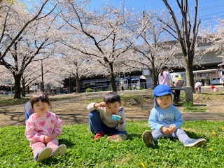 お花見です