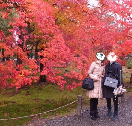 京都の紅葉画像