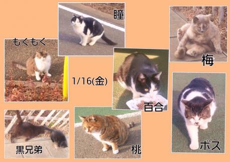 昴ルームの不具合画像
