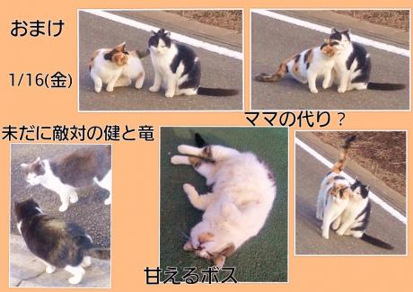 おまけ画像