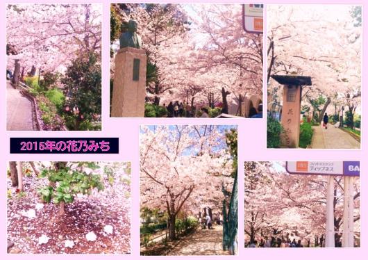 花乃みち　の桜　２０１５－４月２日画像