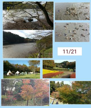 今日の公園画像