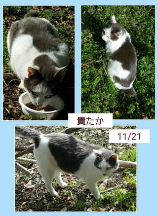 Bエリア画像