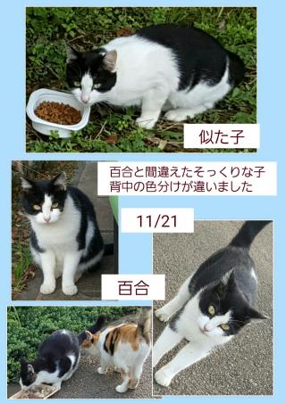Bエリア2画像