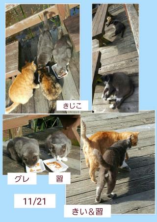 Bエリア3画像