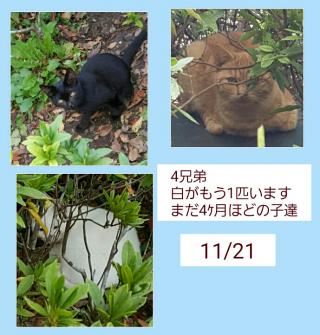 Aエリア画像