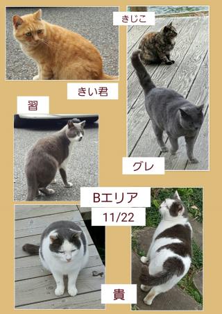 Bエリア画像