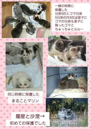 保護記録画像