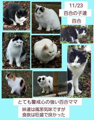 Cエリア画像