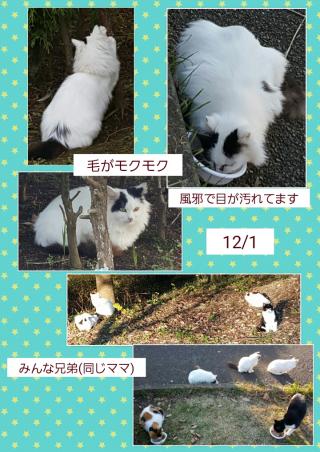 少しだけ公園画像