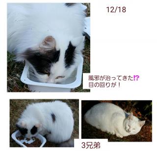 Cエリア画像