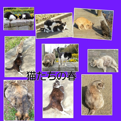 集合写真　１