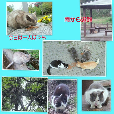 ４月２０日　８ ２匹