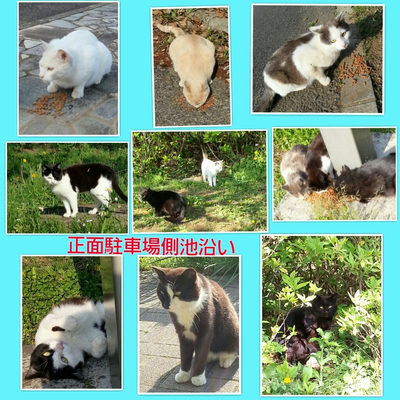 ４月２２日