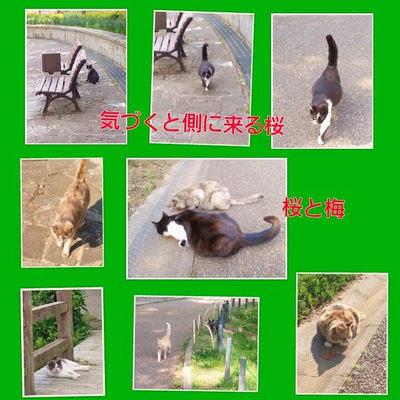 ４月２６日