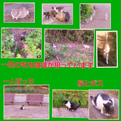 ４月２８日