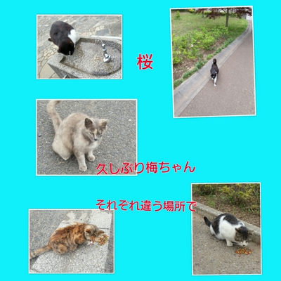 ４月３０日
