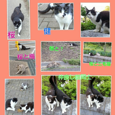 ５月１日