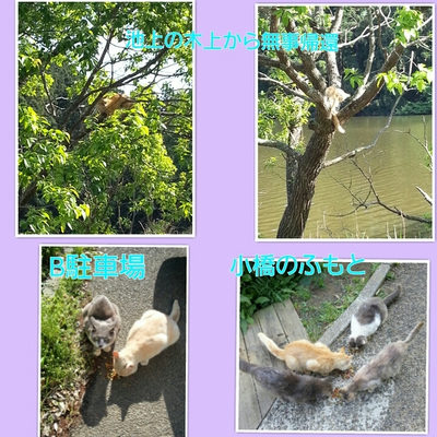 ５月２日
