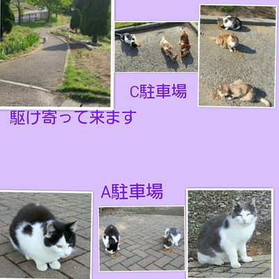 ５月２日
