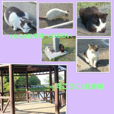 ５月２日
