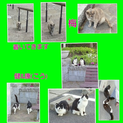 ５月７日
