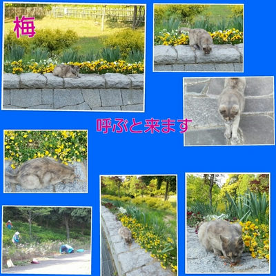 ５月８日