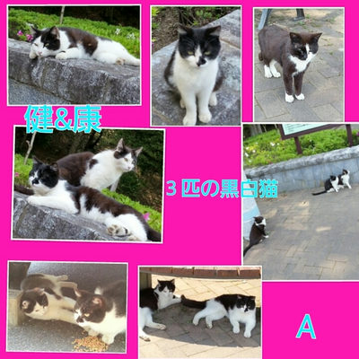 ５月９日