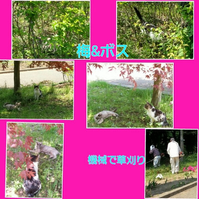 ５月９日