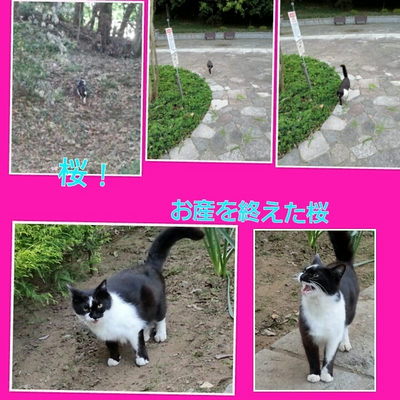 ５月９日