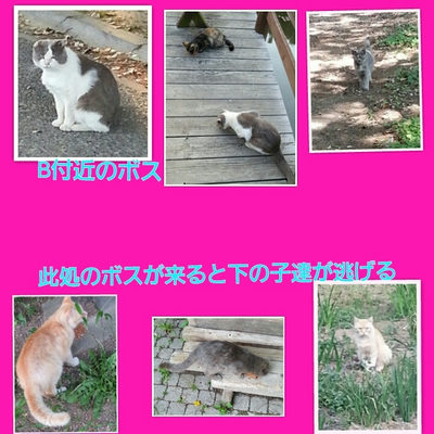 ５月９日