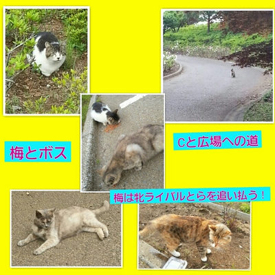 ５月１３日