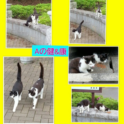 ５月１３日