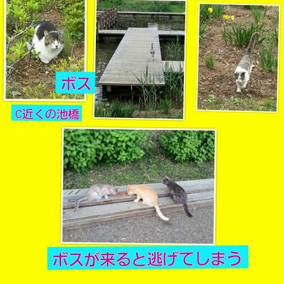 ５月１３日