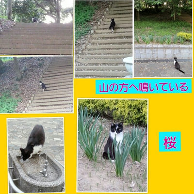 ５月１５日