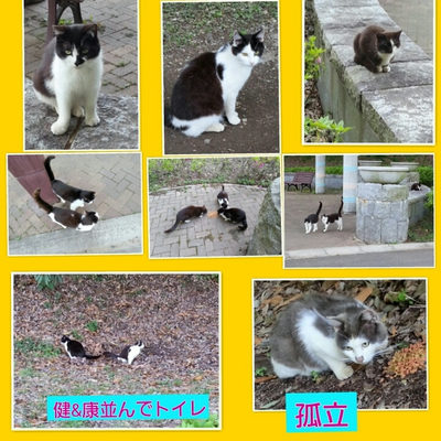 ５月１５日