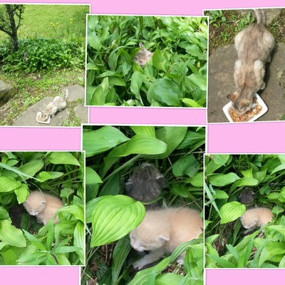 ５月２１日
