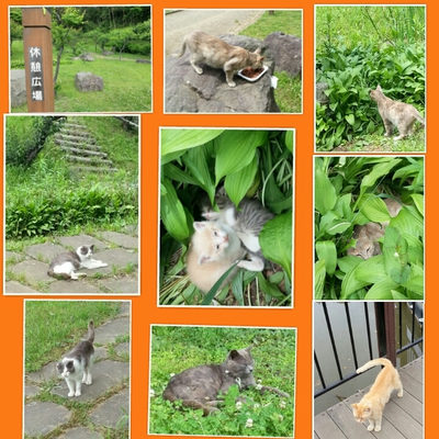 ５月２８日