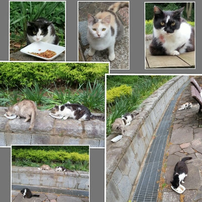 ５月３０日